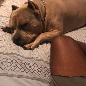 Meet your Posher, Darian